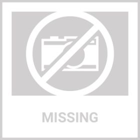 Dog Allergy Relief Chews Itch Relief For Dogs Anti Itch Dog Allergy Chews US Formulated Dog Itching Skin Relief With Salmon Oil Immune Health Sea (Option: Chewia)